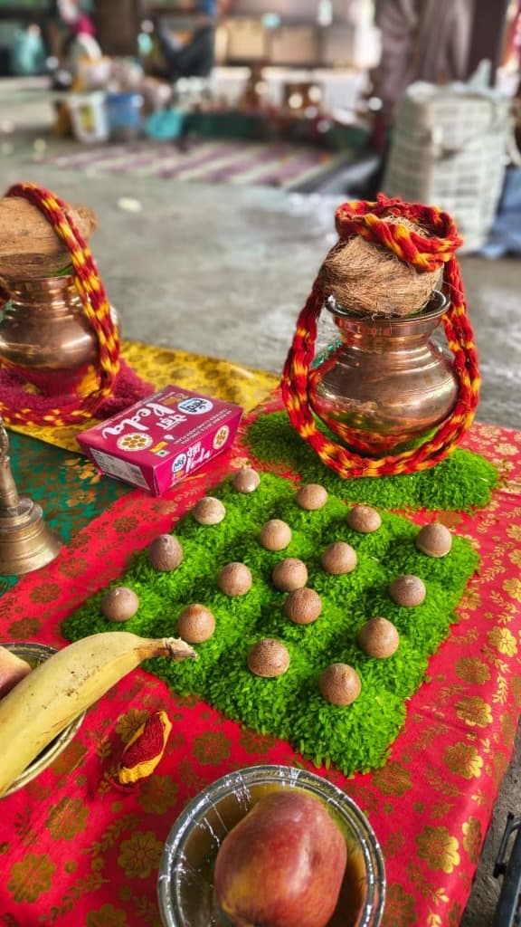 Vedic Homa Ritual