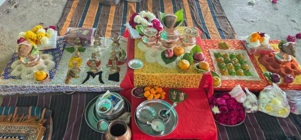 कालसर्प दोष पूजा Image 1